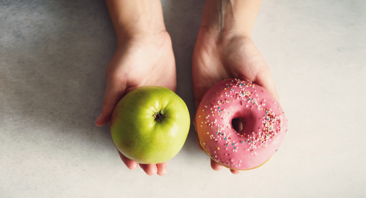 alimentos para emagrecer